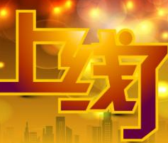 熱烈慶祝公司網(wǎng)站上線